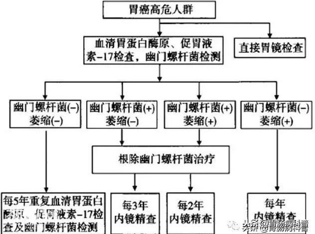 在西方发现一个胃癌是稀罕事，在中国每天都有-7.jpg