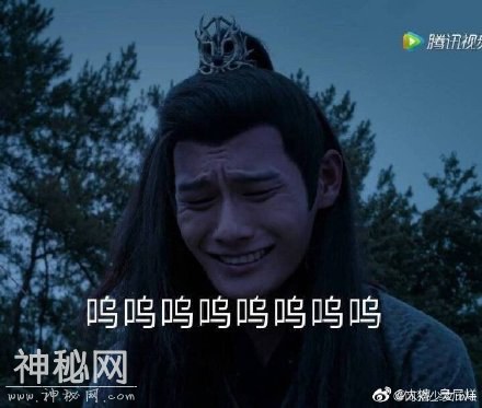 《陈情令》云梦江氏晚吟专属表情包，你值得拥有，各种搞笑喷饭-3.jpg