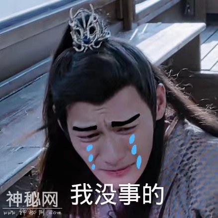 《陈情令》云梦江氏晚吟专属表情包，你值得拥有，各种搞笑喷饭-11.jpg