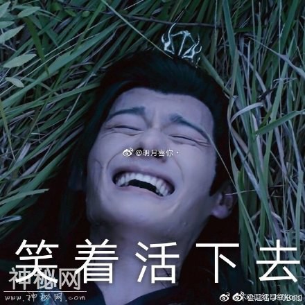 《陈情令》云梦江氏晚吟专属表情包，你值得拥有，各种搞笑喷饭-13.jpg