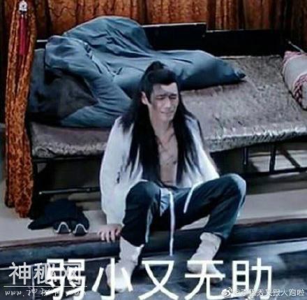 《陈情令》云梦江氏晚吟专属表情包，你值得拥有，各种搞笑喷饭-19.jpg