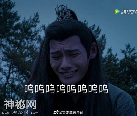 《陈情令》云梦江氏晚吟专属表情包，你值得拥有，各种搞笑喷饭-14.jpg