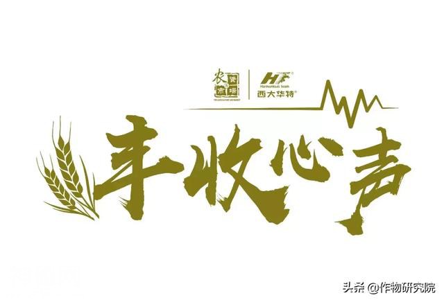 华特叶枝青杀细菌、杀真菌、抑制线虫，为种植添精彩-1.jpg