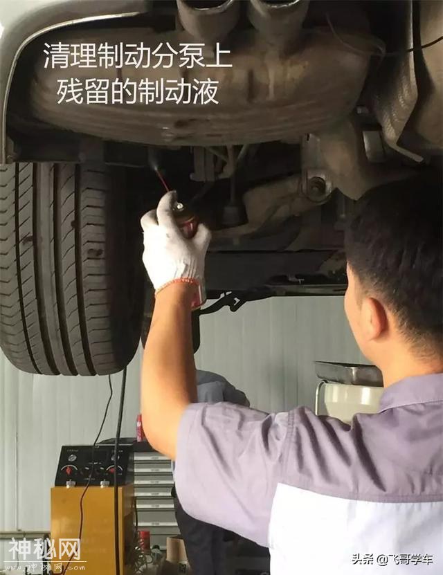 「每日养车」宝马5系正确的大保健方式，了解一下-6.jpg