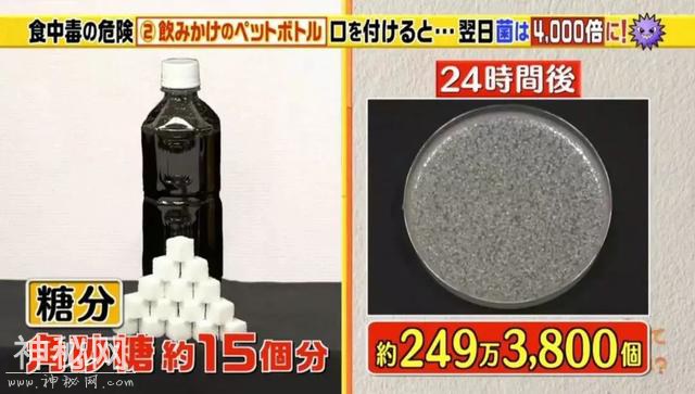 喝过一口，放置一晚的牛奶咖啡细菌增长8000多倍，你还敢喝吗？-13.jpg