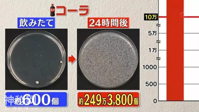 喝过一口，放置一晚的牛奶咖啡细菌增长8000多倍，你还敢喝吗？-12.jpg