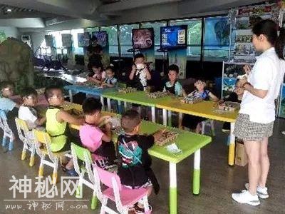 延庆地质博物馆2019暑期“我与恐龙交朋友”科普夏令营活动开始啦！-7.jpg