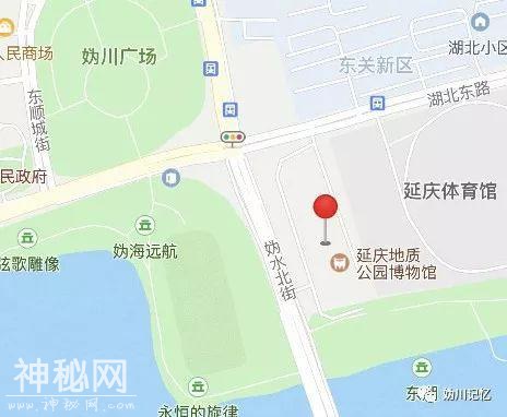 延庆地质博物馆2019暑期“我与恐龙交朋友”科普夏令营活动开始啦！-8.jpg