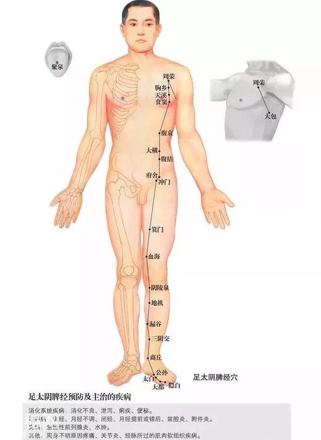 防病秘籍！脾经畅通——重病、急病、怪病难上身-3.jpg