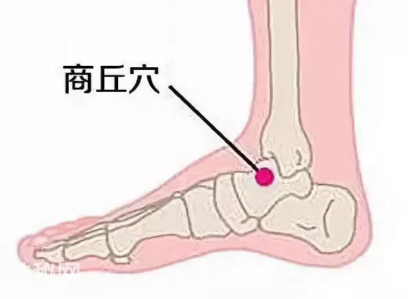 防病秘籍！脾经畅通——重病、急病、怪病难上身-7.jpg