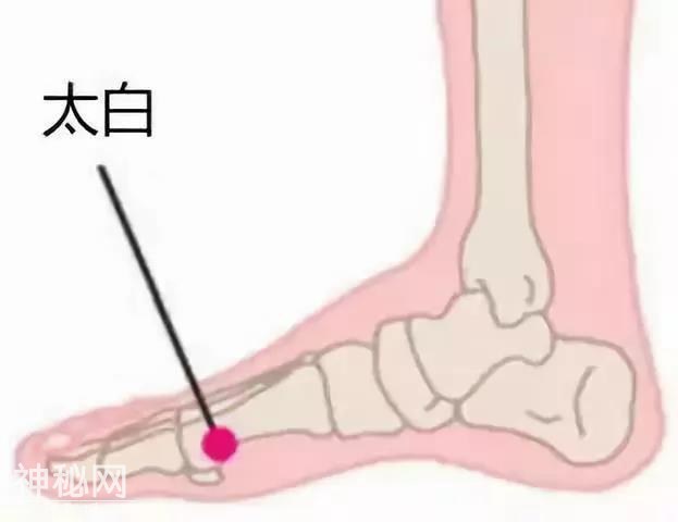 防病秘籍！脾经畅通——重病、急病、怪病难上身-5.jpg