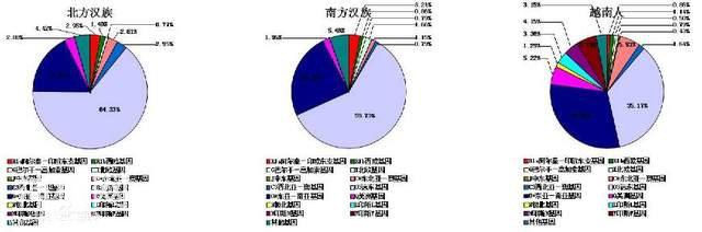 你的身体流着谁的血，元谋人、蓝天人、还是北京人？-8.jpg