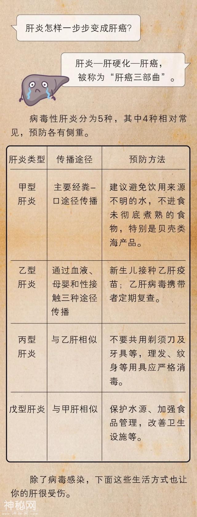 健康养生||一份《高危肝脏图鉴》：8件事修复你日积月累受伤的肝-2.jpg