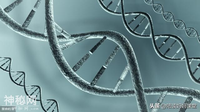 生物的遗传和变异重难点详解，必备利器-2.jpg