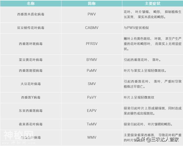 百香果究竟有多少种病毒病？！百香果病毒病如何预防-2.jpg