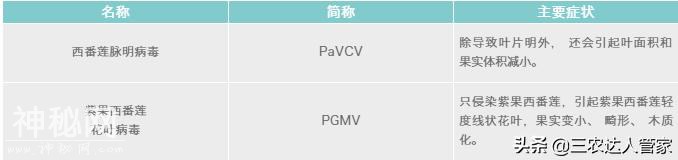 百香果究竟有多少种病毒病？！百香果病毒病如何预防-10.jpg