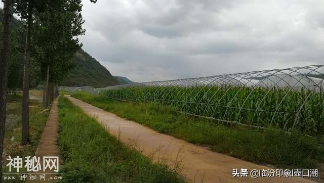 临汾西山吉县屯里小河边，摩旅途中感受黄土高原人文风情-11.jpg