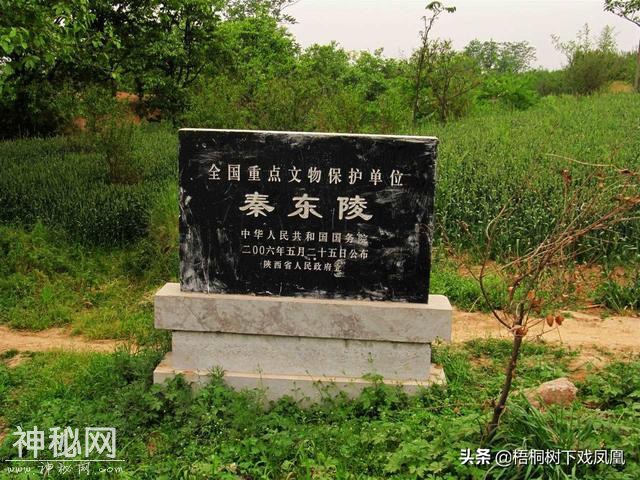 现代盗墓如何防”墓毒“？古代送入鸡狗测验，不死后人才敢进去-1.jpg