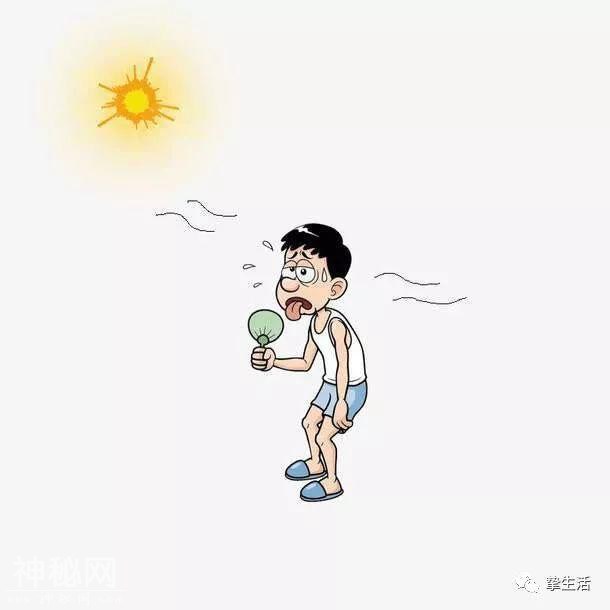 三伏天，不吃冷饮吃什么？三伏天健康养生攻略请笑纳-2.jpg