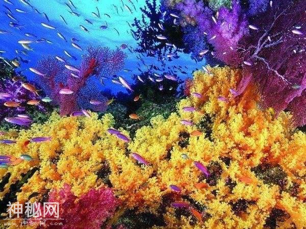 为什么有一些生物是“永生”的，它们很少会因为衰老而死亡-4.jpg