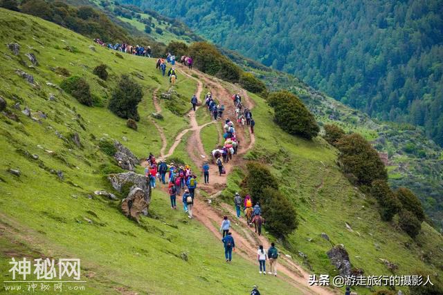 万人齐聚四姑娘山朝山会，共享民俗文化盛宴，比春节还热闹-5.jpg