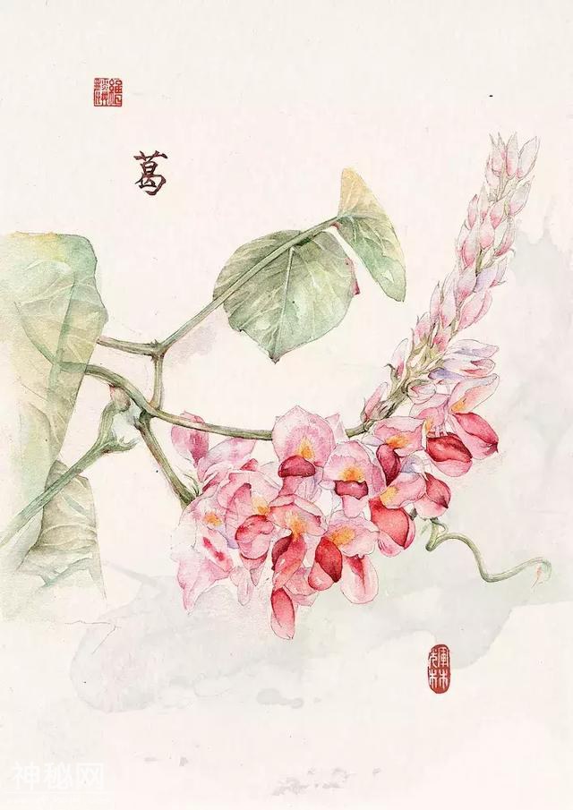 二十四节气与美食相遇！背后的插画师又仙又美，用笔守护中国民俗-34.jpg