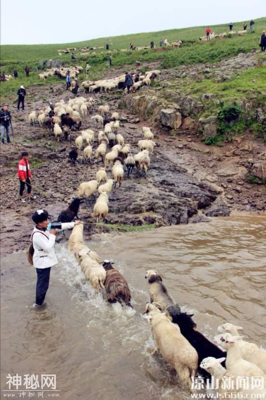 美姑县2019年“尼姆 约纱茨”民俗活动举行-7.jpg