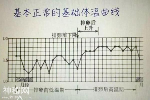 女性身体若出现这些信号，说明处于排卵期，此时造人可能一发命中-4.jpg