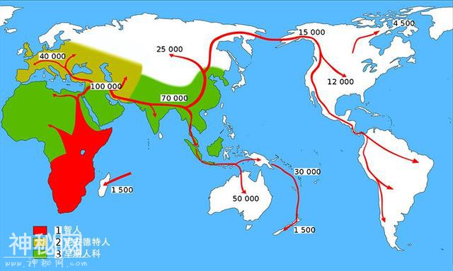 北京猿人是我们的祖先吗？当年发现的头盖骨化石去哪儿了？-4.jpg