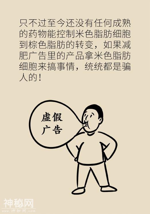 身体内这三种细胞跟减肥关系极其密切，弄清楚了才能减得更快-12.jpg