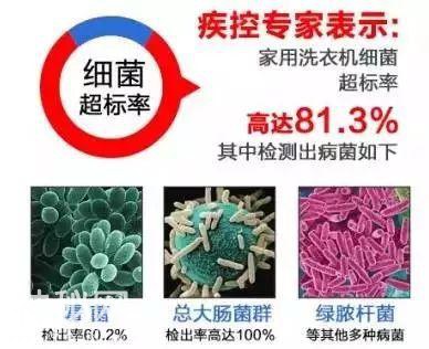 洗衣机不清洗=细菌库，洗它！还有薄饼神器、懒人免洗拖把、剃须刀哦-6.jpg