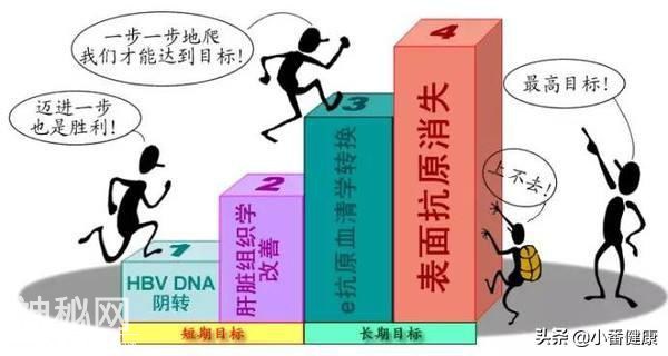 乙肝DNA阳性，转氨酶升高，活动性乙肝小三阳了解抗病毒治疗-2.jpg