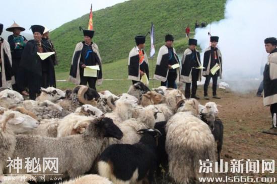 高山彝人的另一个狂欢节③ 神秘又庄重的“约纱茨”传承彝族传统民俗-1.jpg