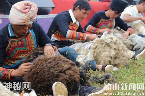 高山彝人的另一个狂欢节③ 神秘又庄重的“约纱茨”传承彝族传统民俗-3.jpg