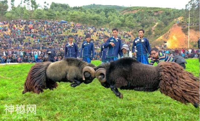 凉山图鉴系列——民俗风情篇，生生不息的民俗传承......-10.jpg