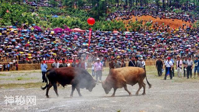 凉山图鉴系列——民俗风情篇，生生不息的民俗传承......-9.jpg