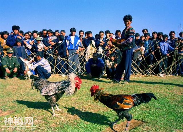 凉山图鉴系列——民俗风情篇，生生不息的民俗传承......-11.jpg