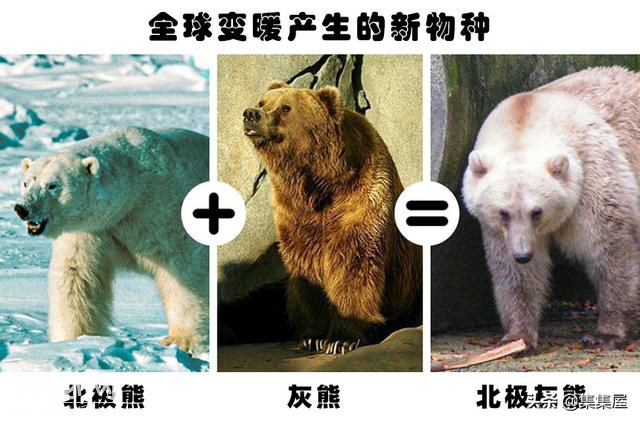 人类这些年所发现的7种生物产生的进化-4.jpg