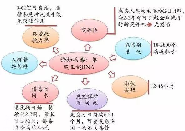 腹泻都是诺如病毒引起的吗？-3.jpg