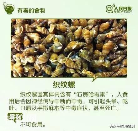 这种生物你竟然也敢吃？小心成为下一个他...-5.jpg