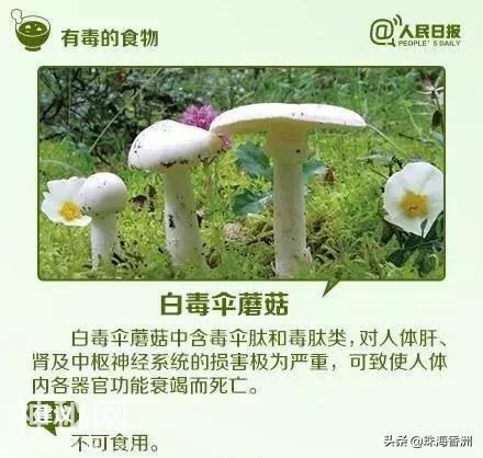 这种生物你竟然也敢吃？小心成为下一个他...-10.jpg