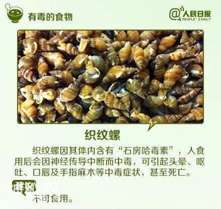 5亿年前的生物你竟然也敢吃？小心成为下一个他...-6.jpg