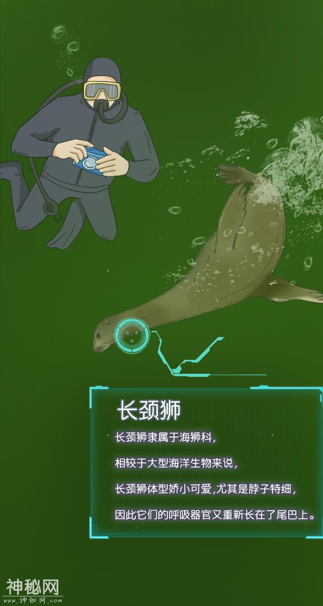 塑料垃圾污染越来越严重，海洋生物都进化成这样-15.jpg