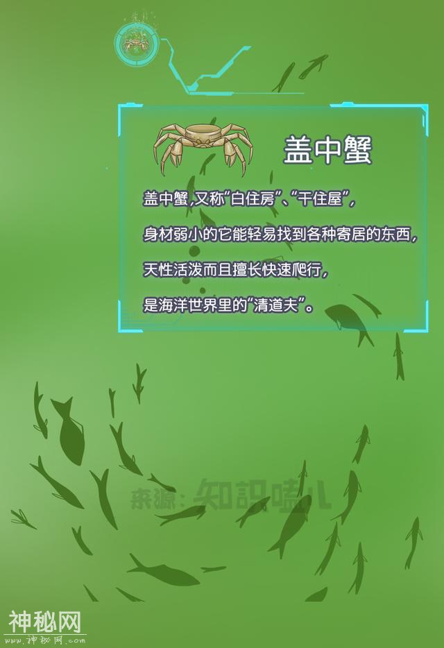 塑料垃圾污染越来越严重，海洋生物都进化成这样-8.jpg