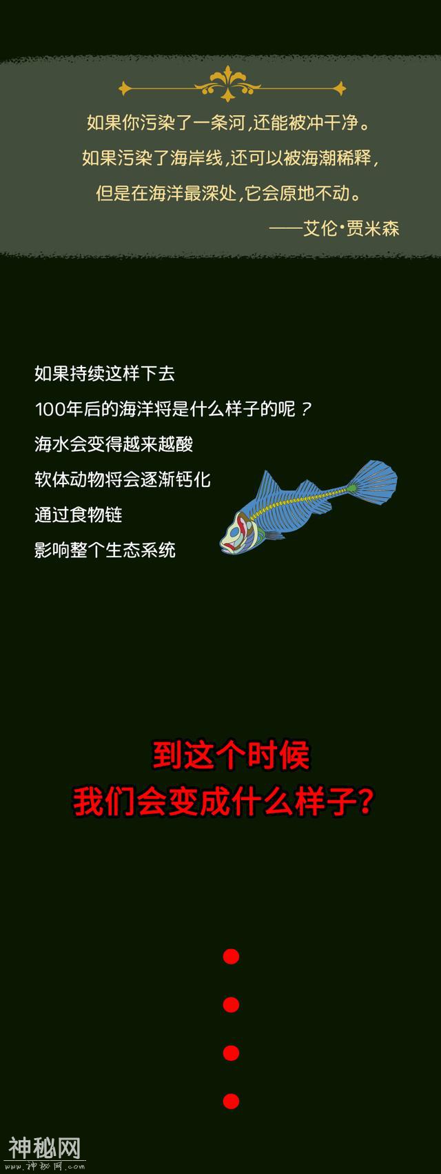 塑料垃圾污染越来越严重，海洋生物都进化成这样-27.jpg