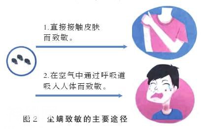 健康悦读｜防护尘螨过敏，做到这八点，完全能避免-3.jpg