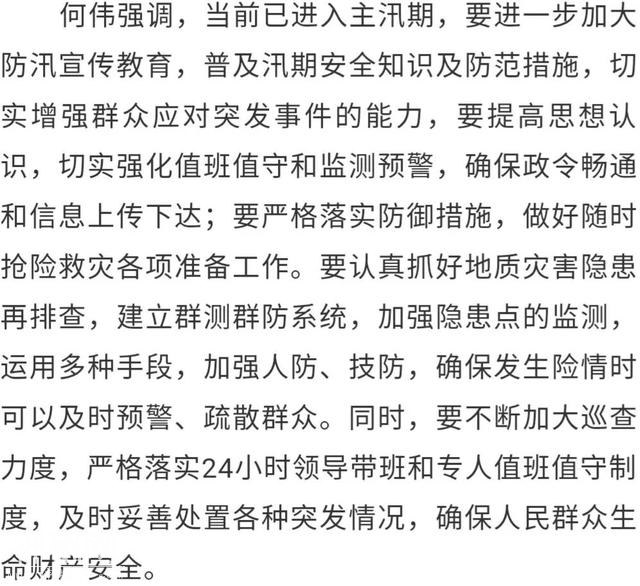 何伟调研农村人居环境整治、地质灾害治理和防汛工作-4.jpg