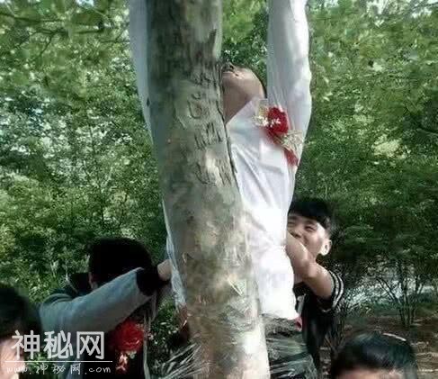 搞笑GIF图：球迷发型，你想要的样子我都有-14.jpg