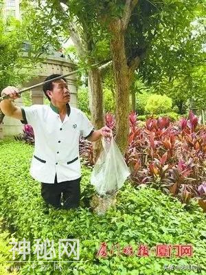 紧急！福建大量出现这种生物！传播结核病和致命脑膜炎！千万别碰它-6.jpg