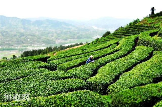 第三批省级旅游示范县创建，在挖掘民俗文化、开发民俗风情表演方面做得如何？-4.jpg